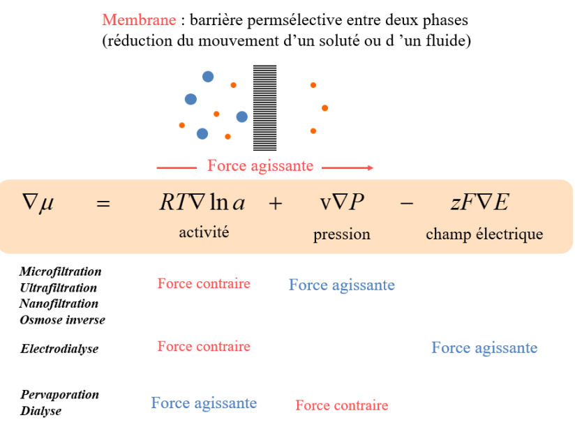 séparation par membranes : principales applications des membranes -  Degremont®